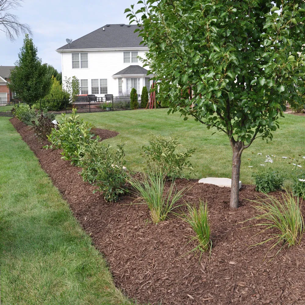 Shrub Bed mulch & pine straw installatino in Hephzibah, Waynesboro, & Augusta GA